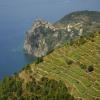 vignoble accroché au dessus de la mer